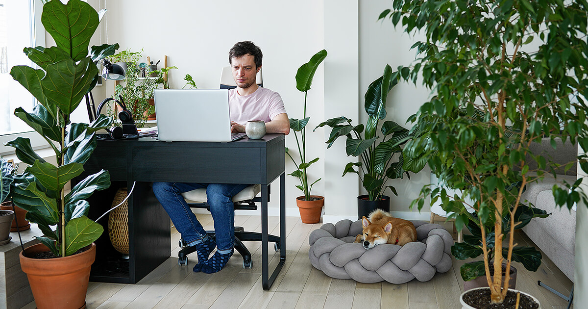 Man sits at desk surrounded by trees and indoor plants with dog asleep on floor
