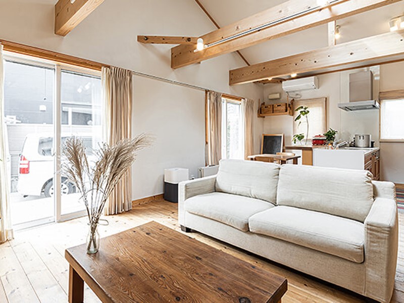 Eco-friendly interior design ideas in living room with couch and table