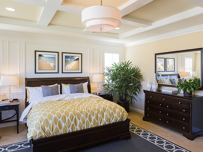 Master Bedroom Layout