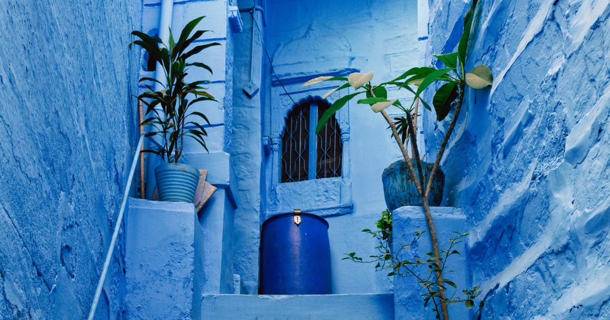 Colour drenching blue hallway