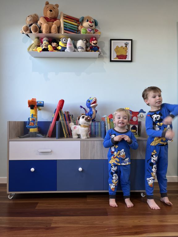 Kids custom shelving and cabinetry